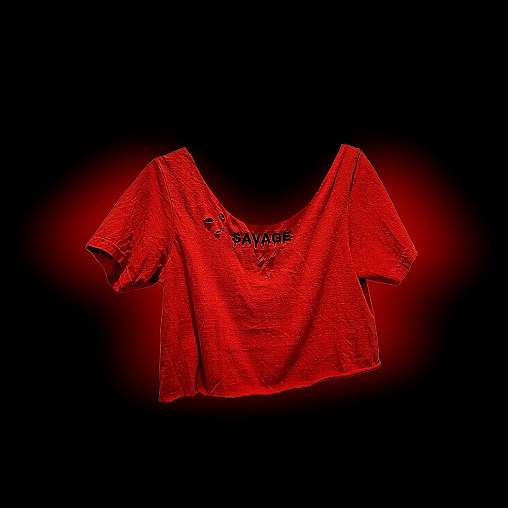 Buttery Soft Vintage Distressed Cropped Savage size xs/s
